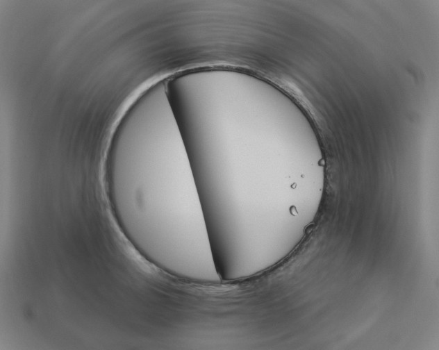 X0000113361140200910061034