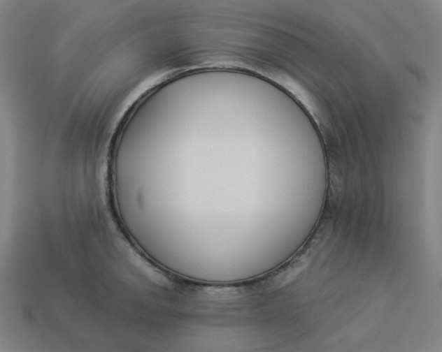 X0000113361142200910061034