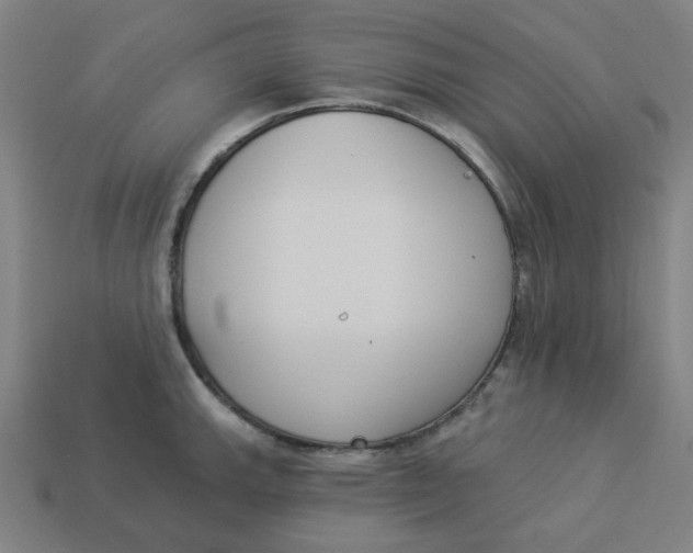 X0000113361143200910061034