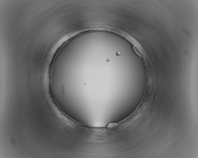 X0000113361144200910061034