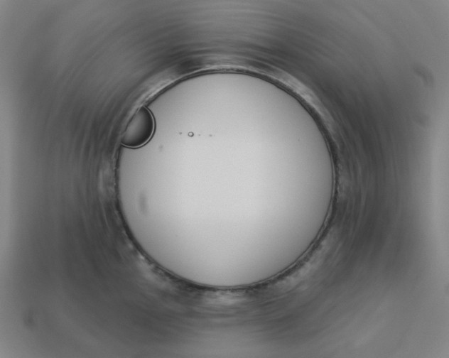 X0000113361145200910061034