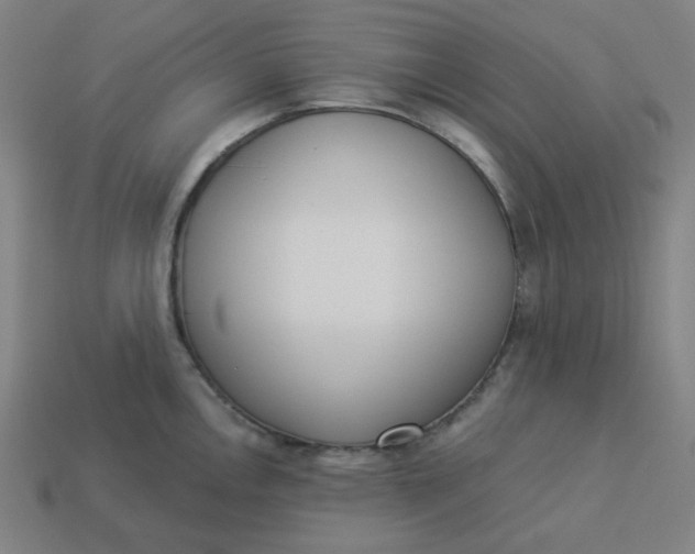 X0000113361146200910061034