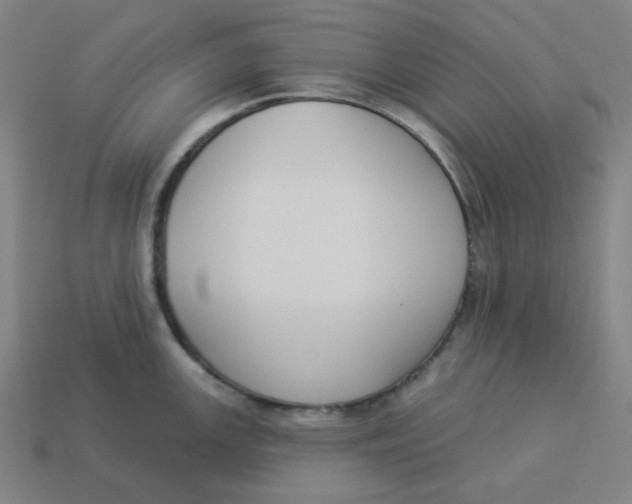 X0000113361147200910061034