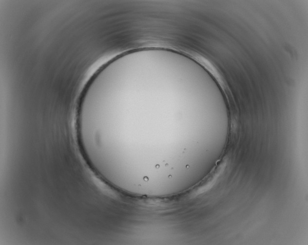 X0000113361149200910061034