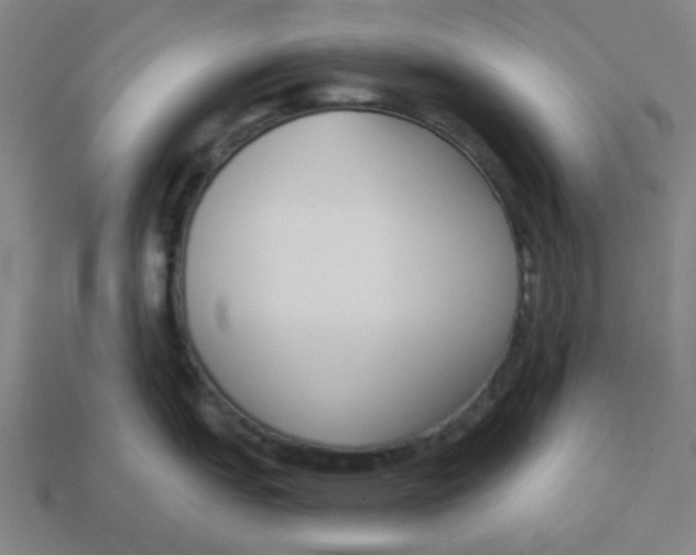 X0000113361151200910061034