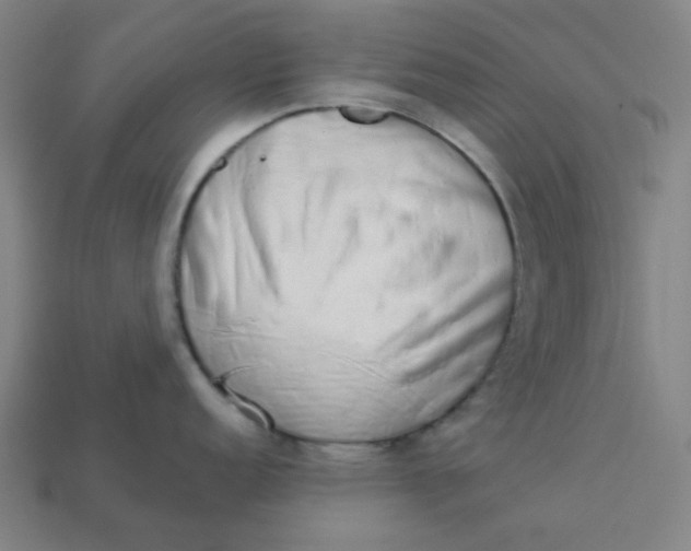 X0000113361152200910061034