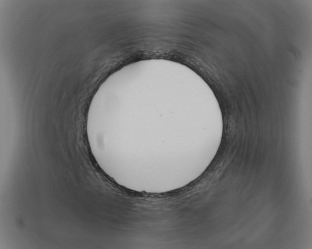 X0000113361153200910061034