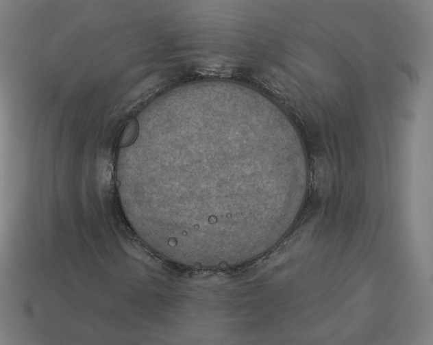 X0000113361154200910061034