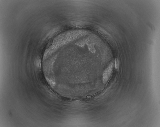 X0000113361155200910061034