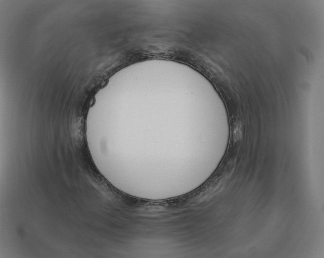 X0000113361156200910061034