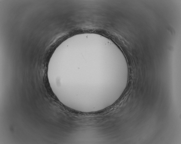 X0000113361157200910061034