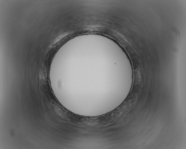 X0000113361158200910061034