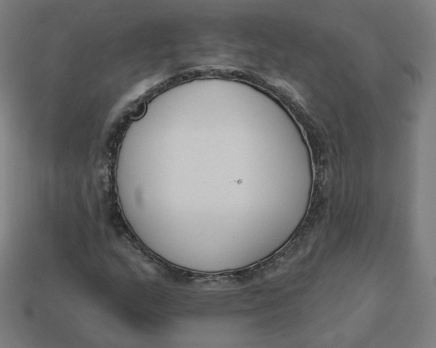 X0000113361159200910061034