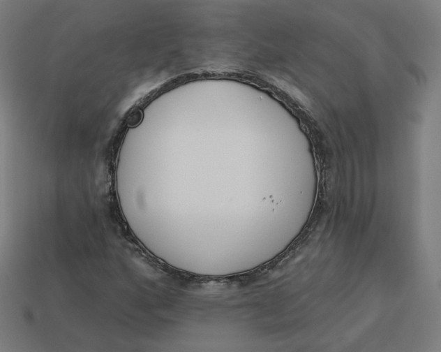 X0000113361160200910061034