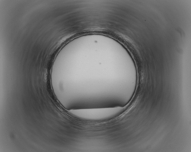 X0000113361161200910061034