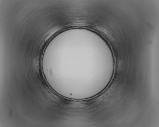 X0000113361162200910061034