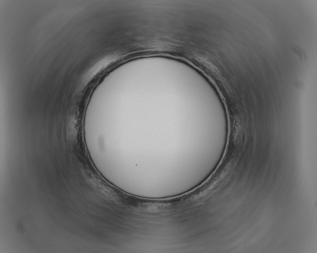 X0000113361163200910061034