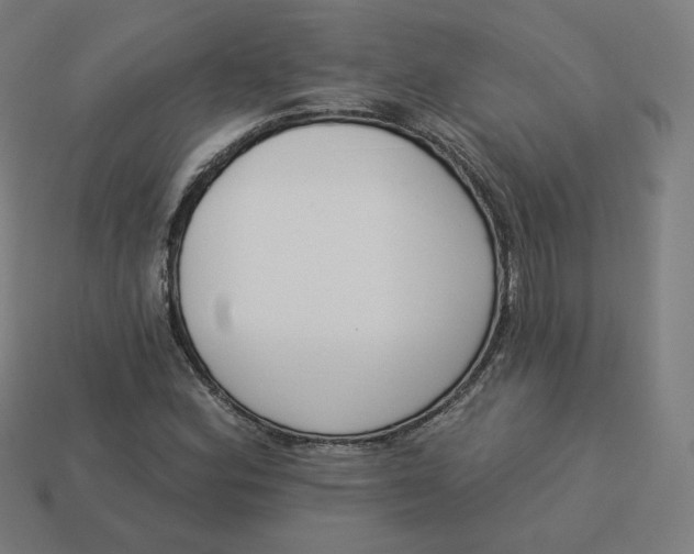 X0000113361164200910061034