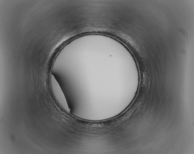 X0000113361165200910061034