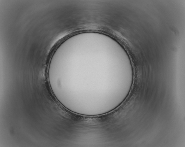 X0000113361166200910061034