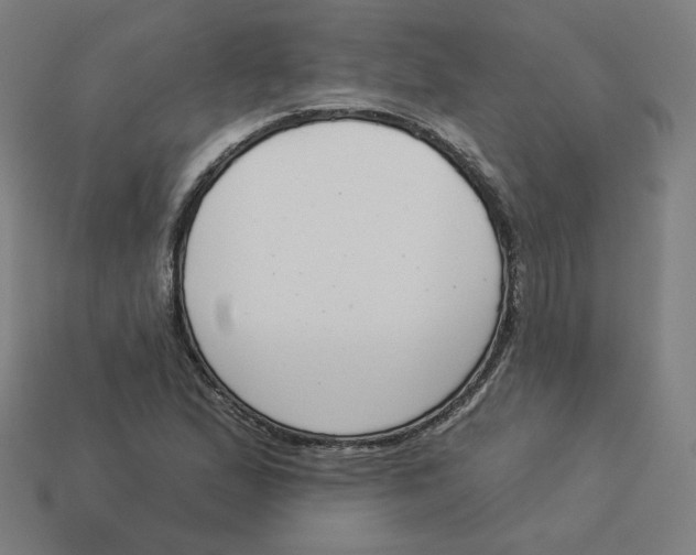 X0000113361167200910061034