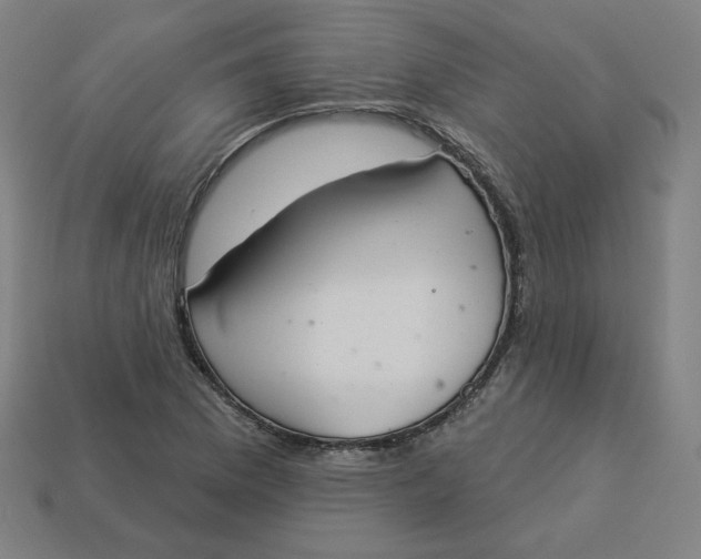 X0000113361169200910061034