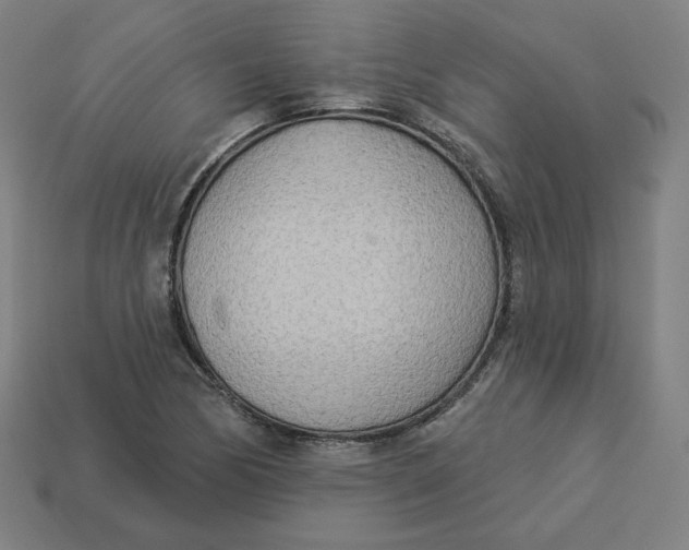 X0000113361170200910061034