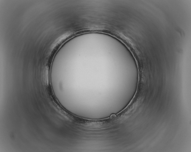 X0000113361171200910061034