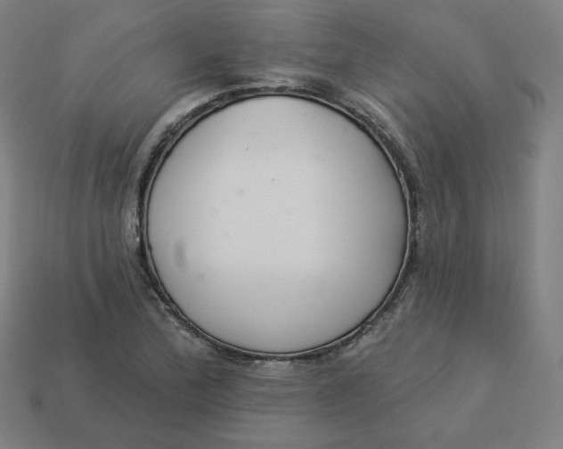 X0000113361172200910061034