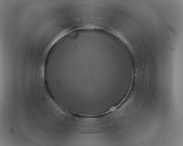 X0000113361173200910061034