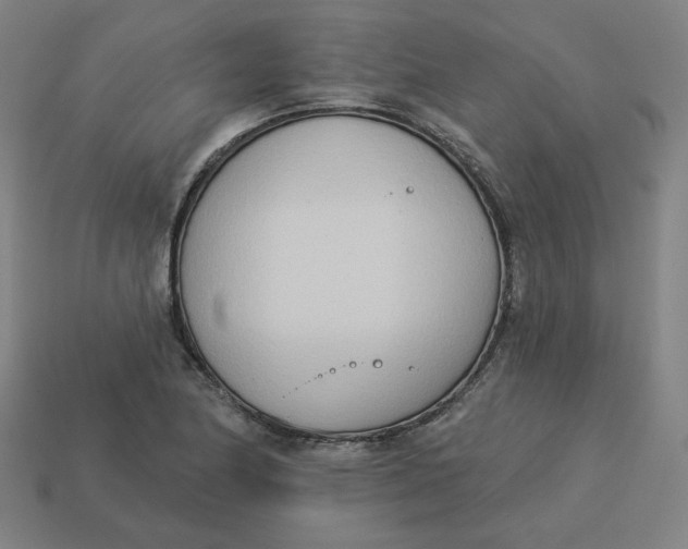 X0000113361174200910061034