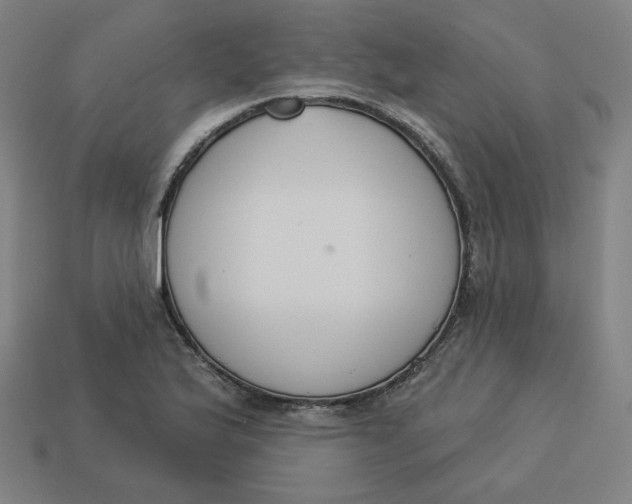 X0000113361175200910061034