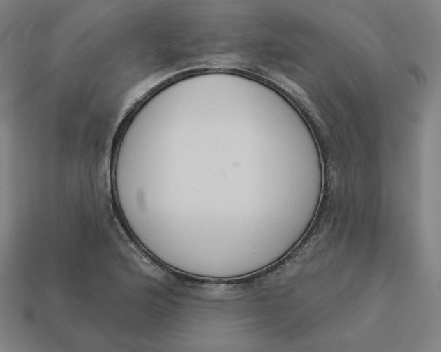 X0000113361176200910061033