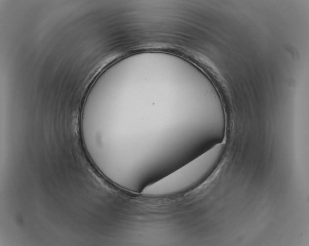 X0000113361177200910061033