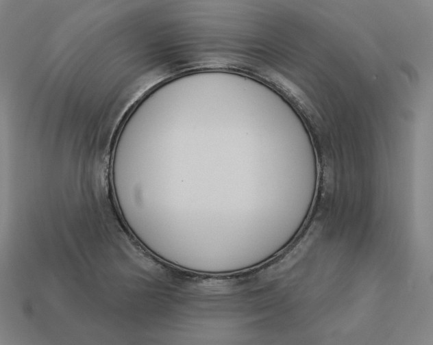 X0000113361178200910061033