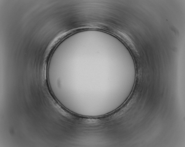 X0000113361180200910061033