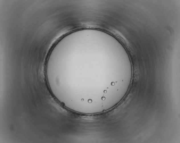 X0000113361182200910061033