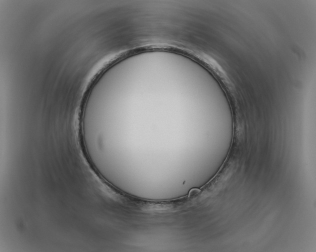 X0000113361183200910061033