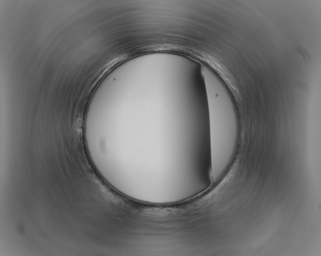 X0000113361185200910061033