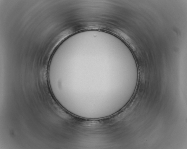 X0000113361186200910061033