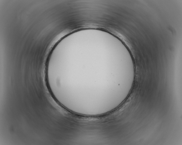 X0000113361187200910061033