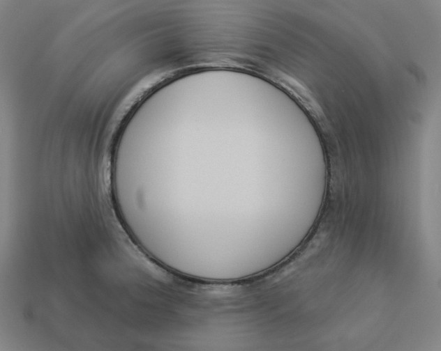 X0000113361188200910061033