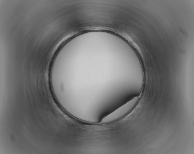 X0000113361189200910061033