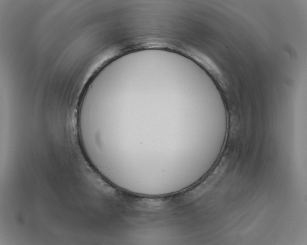 X0000113361190200910061033