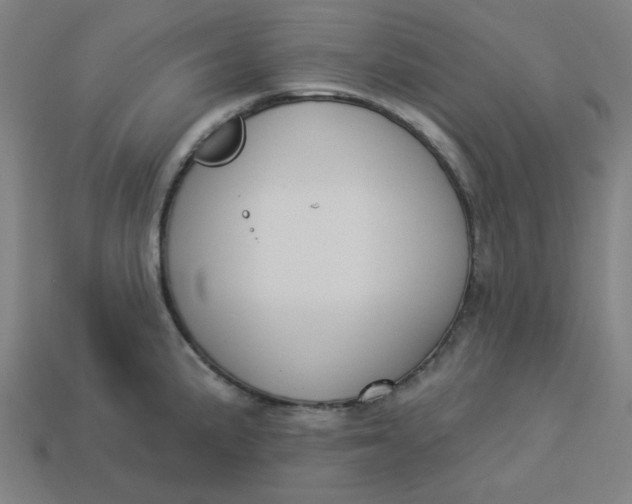 X0000113361191200910061033