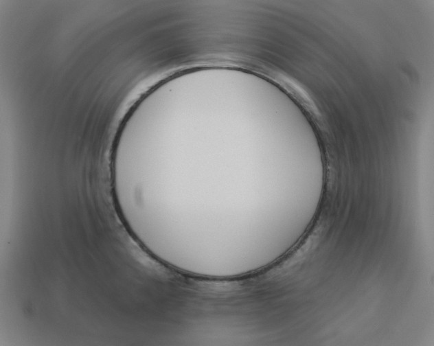 X0000113361192200910061033