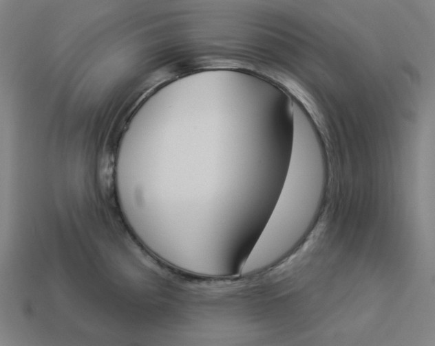 X0000113361193200910061033