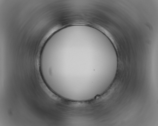 X0000113361195200910061033