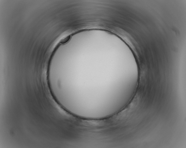 X0000113361197200910061033