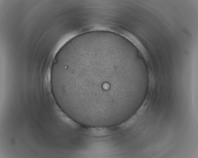 X0000113361198200910061033